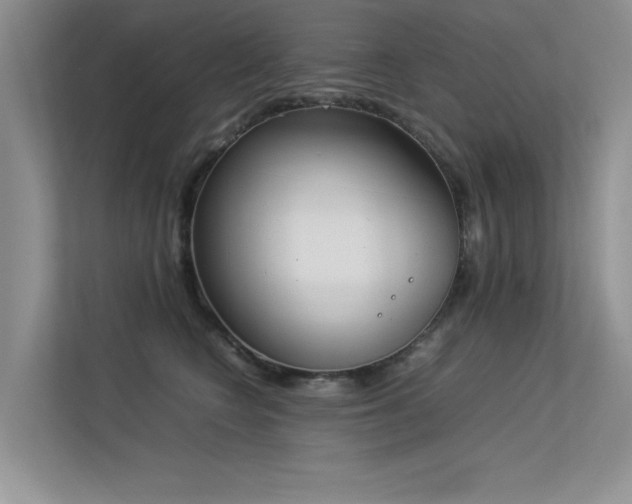 X0000113350566200909151156