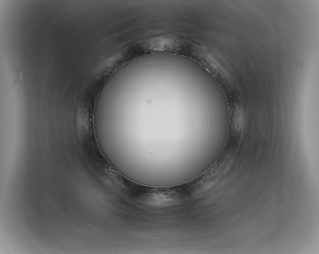 X0000113350569200909151156