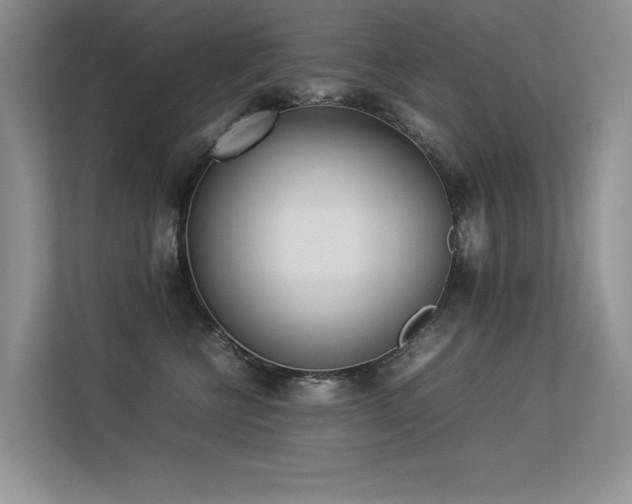 X0000113350570200909151156