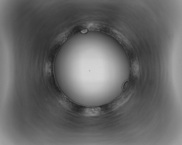 X0000113350571200909151156