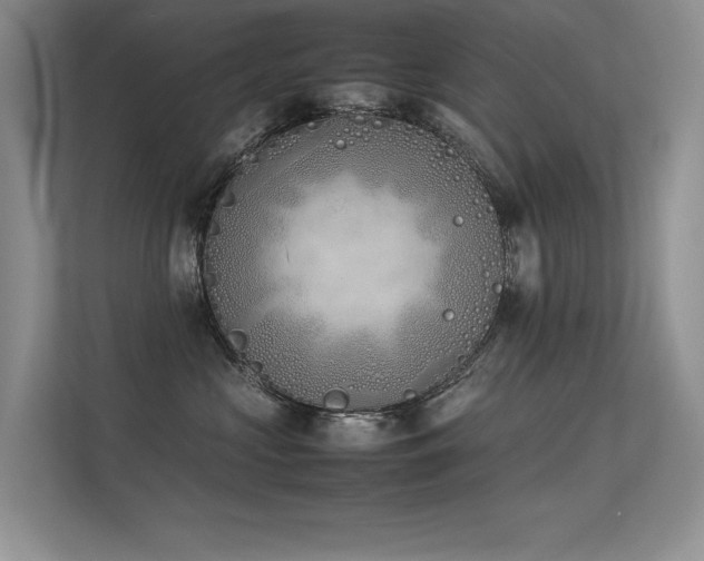 X0000113350573200909151156