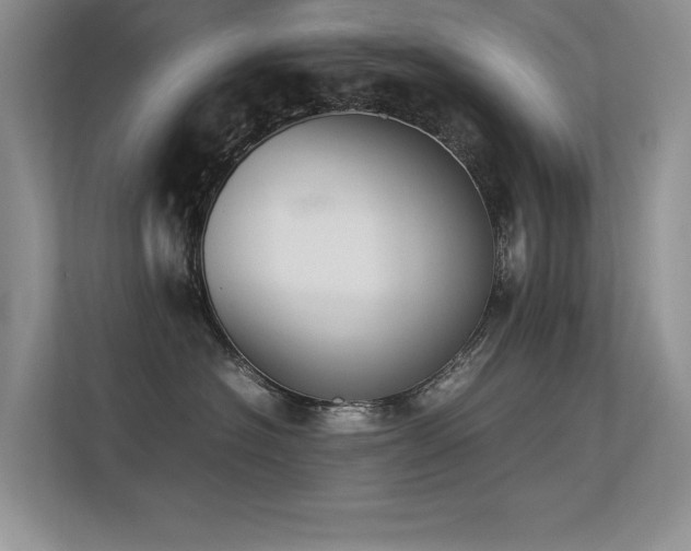 X0000113350574200909151156