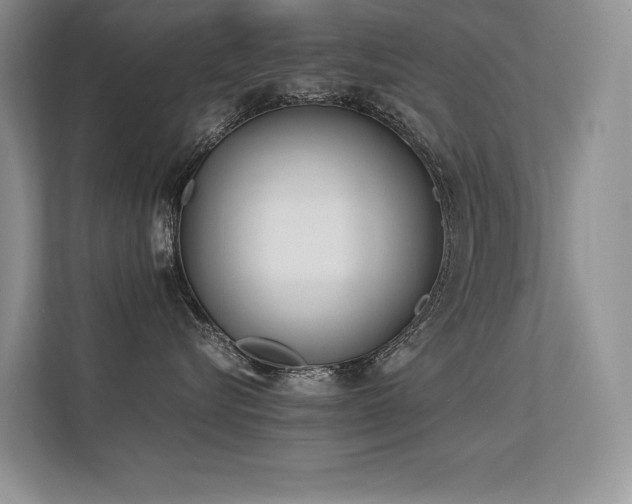 X0000113350576200909151156