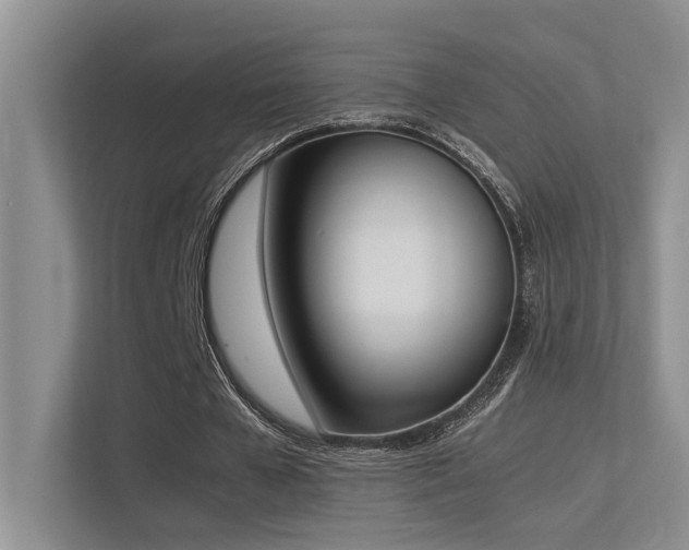 X0000113350577200909151155