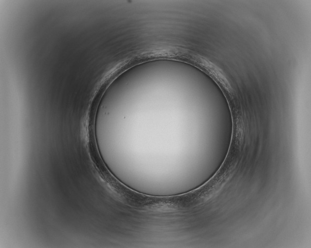 X0000113350578200909151155