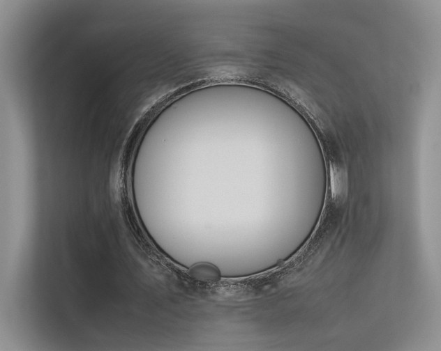 X0000113350579200909151155