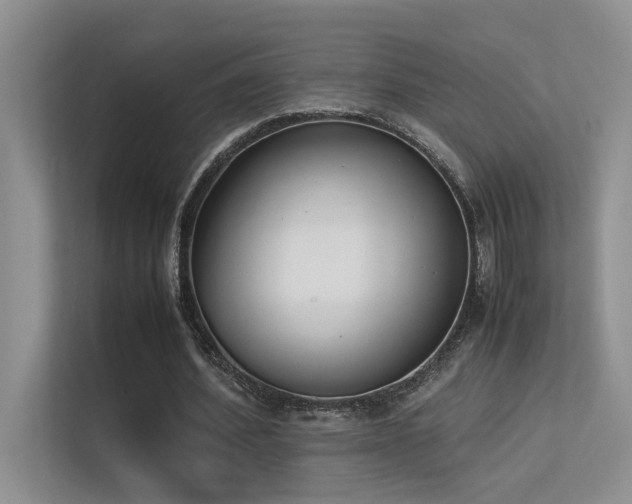 X0000113350580200909151155