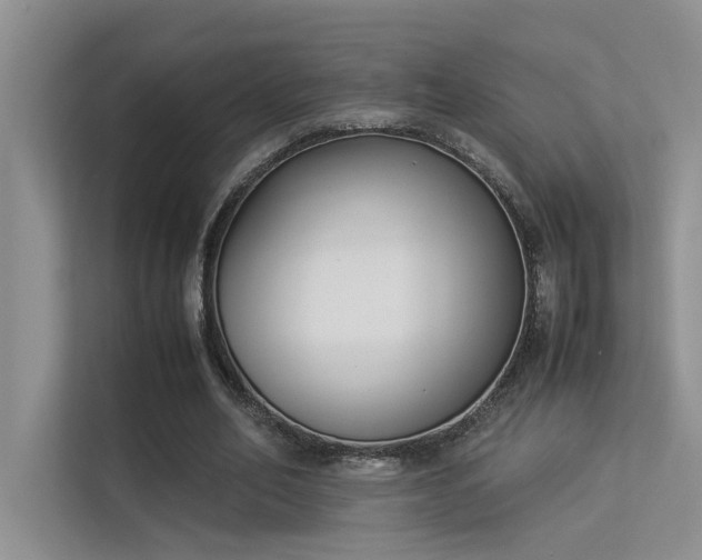 X0000113350582200909151155