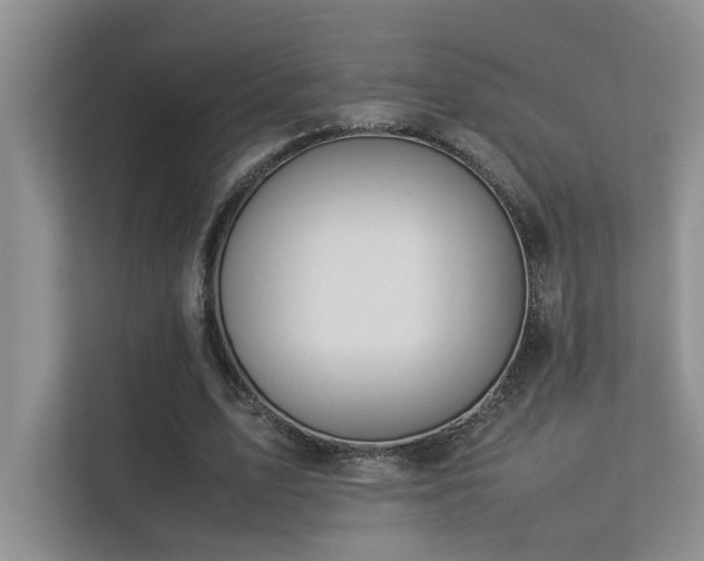 X0000113350583200909151155