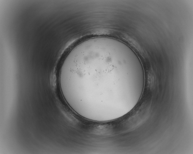 X0000113350584200909151155