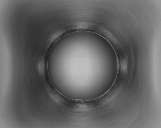 X0000113350588200909151155