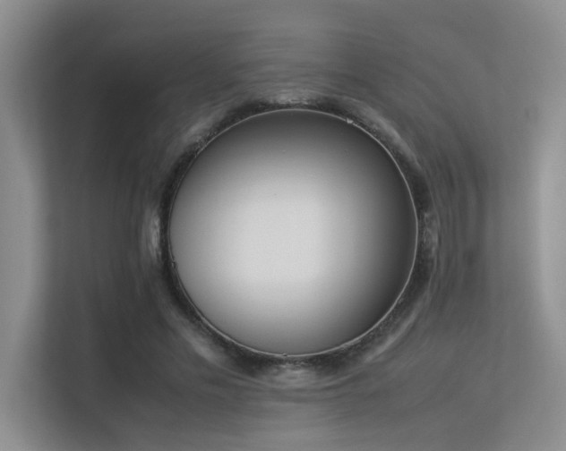 X0000113350589200909151155