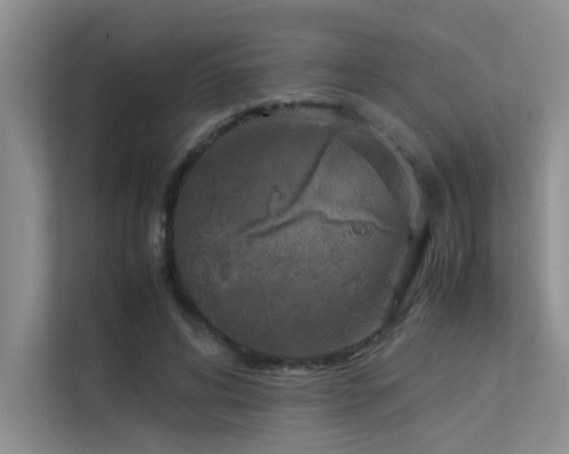 X0000113350592200909151155