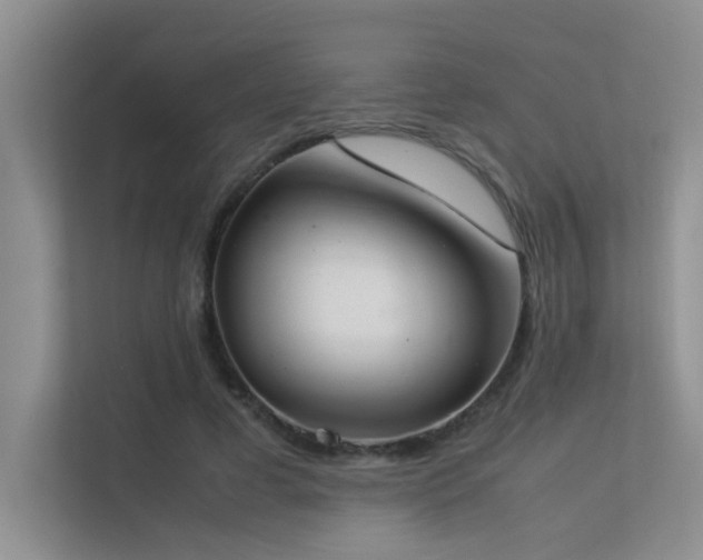 X0000113350593200909151155