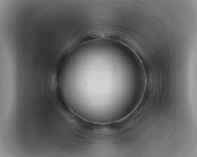 X0000113350594200909151155