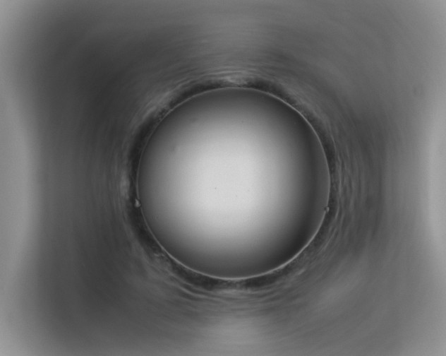 X0000113350595200909151155