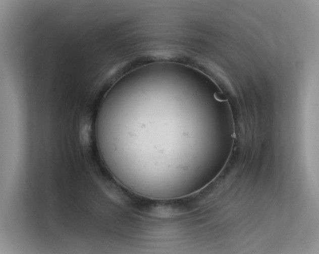 X0000113350596200909151155