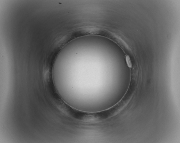 X0000113350597200909151155