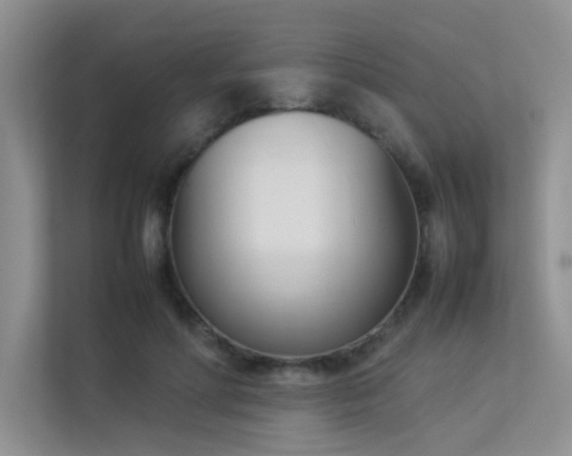 X0000113350598200909151155