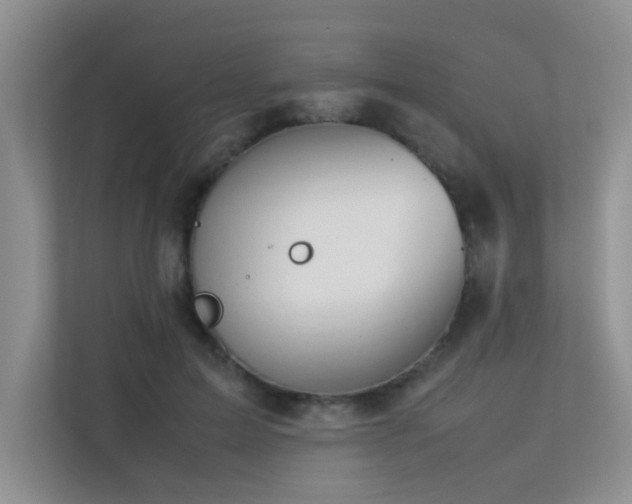 X0000113350599200909151155