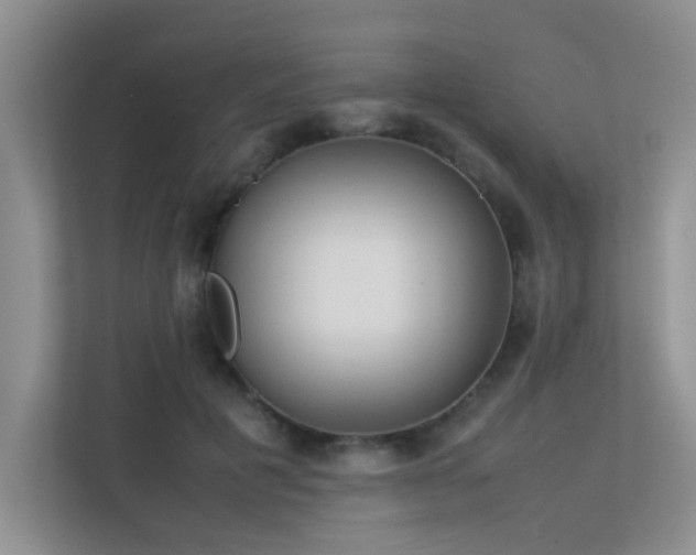 X0000113350601200909151155