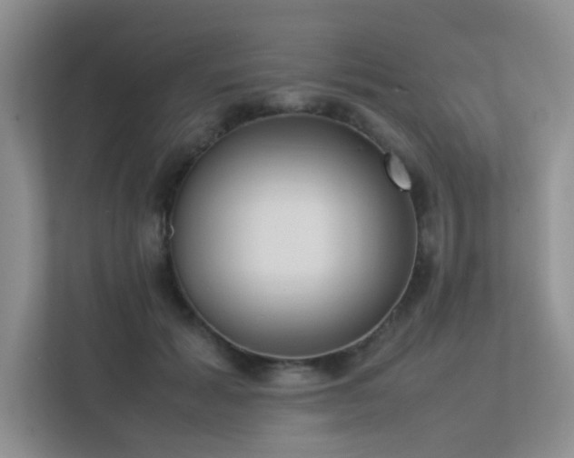 X0000113350605200909151155