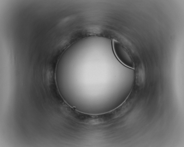 X0000113350608200909151155