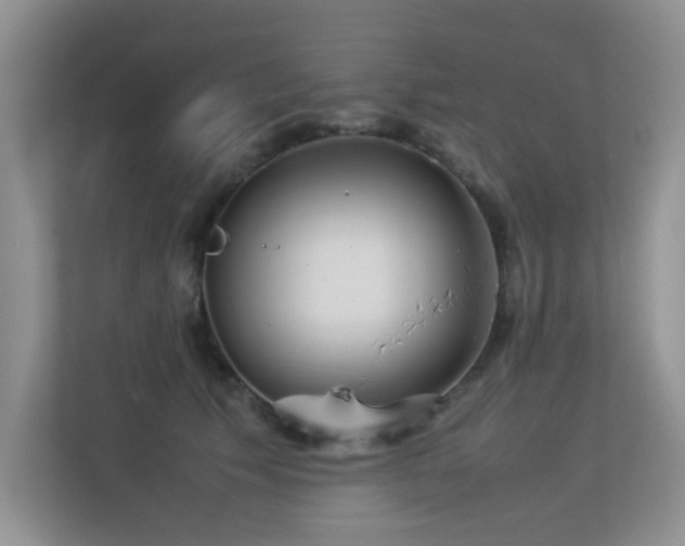 X0000113350609200909151155