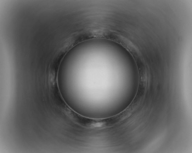 X0000113350610200909151155