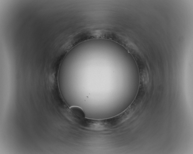 X0000113350611200909151155