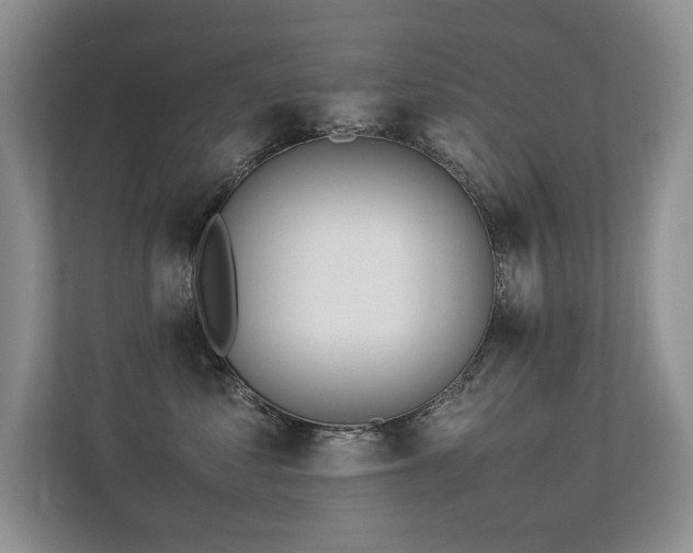 X0000113350621200909151155