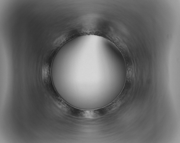 X0000113350623200909151155