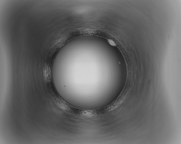 X0000113350624200909151155