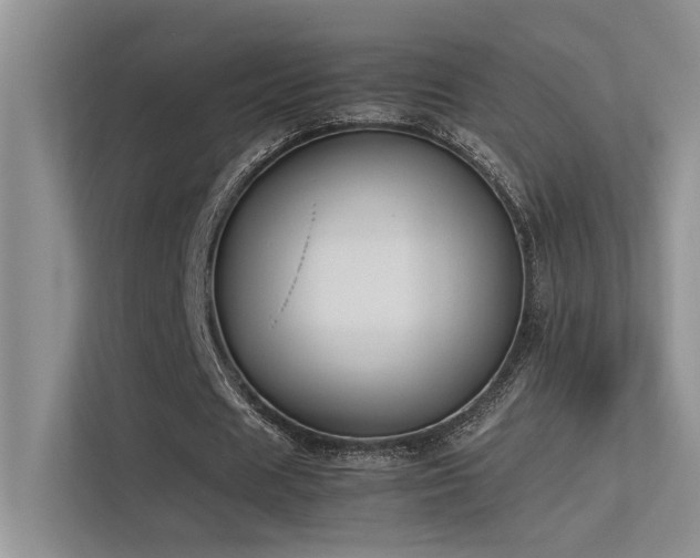 X0000113350625200909151154
