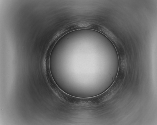 X0000113350626200909151154