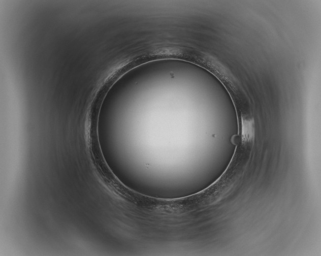 X0000113350627200909151154
