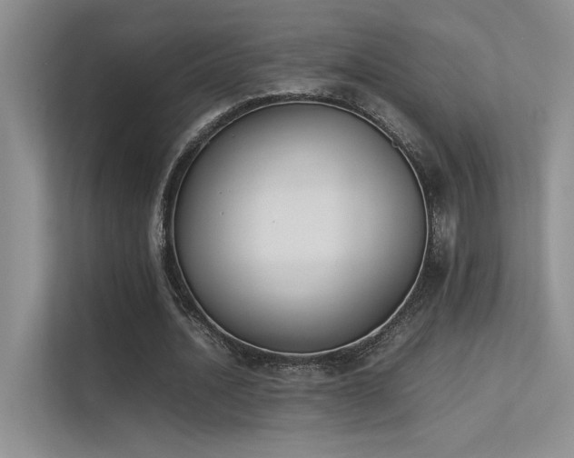 X0000113350628200909151154