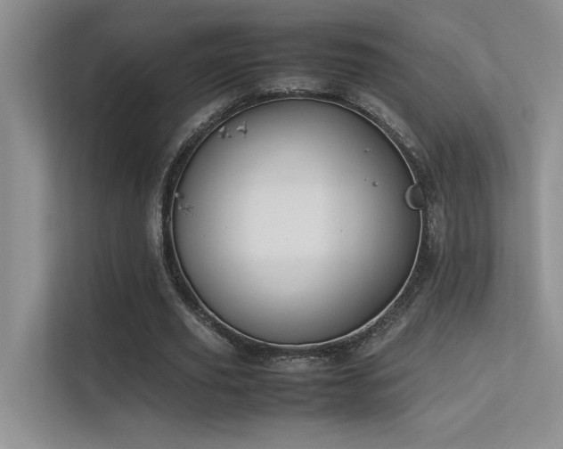 X0000113350629200909151154