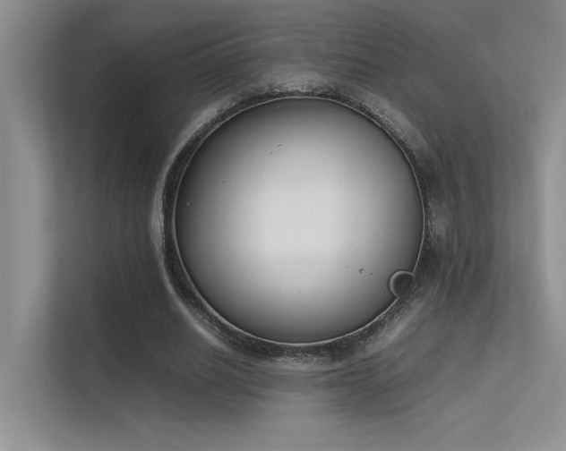 X0000113350630200909151154