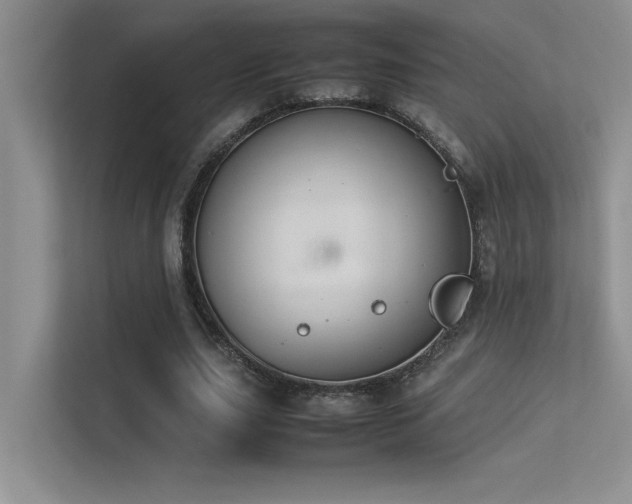 X0000113350631200909151154