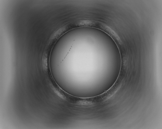 X0000113350633200909151154