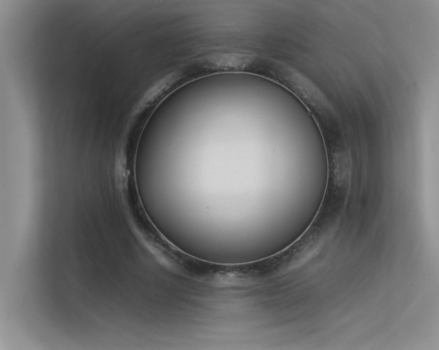X0000113350634200909151154