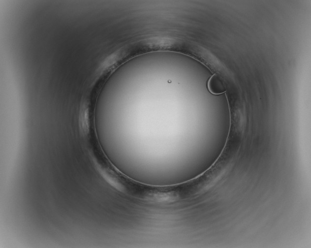 X0000113350638200909151154