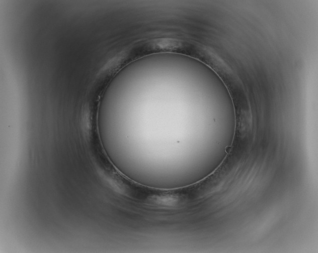 X0000113350639200909151154