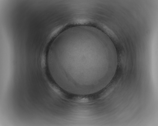 X0000113350640200909151154