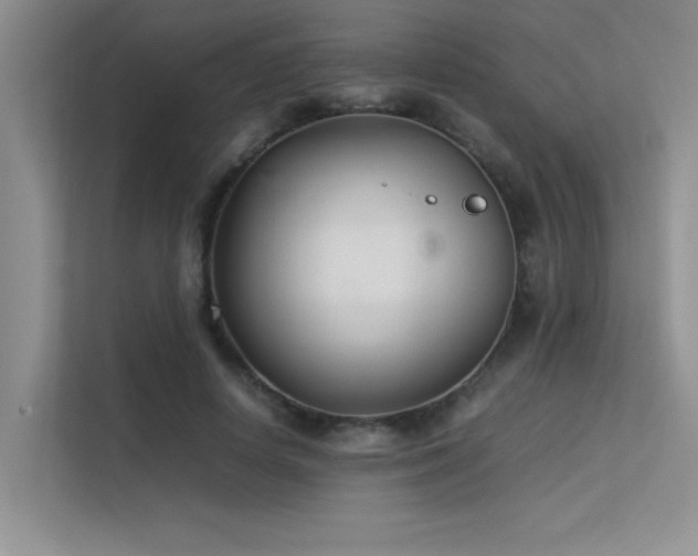 X0000113350642200909151154