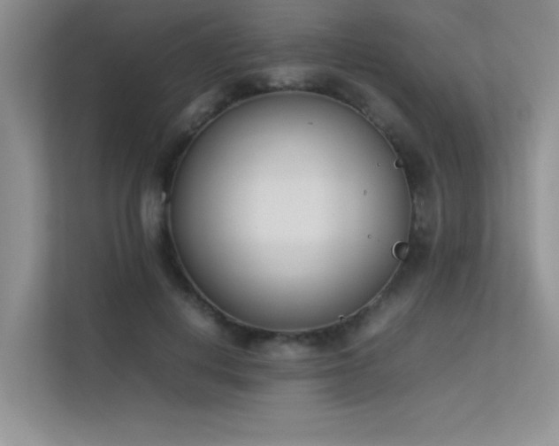 X0000113350648200909151154