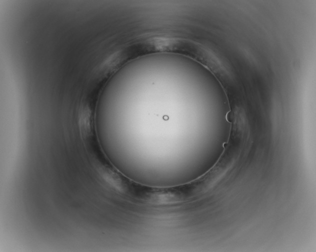 X0000113350650200909151154