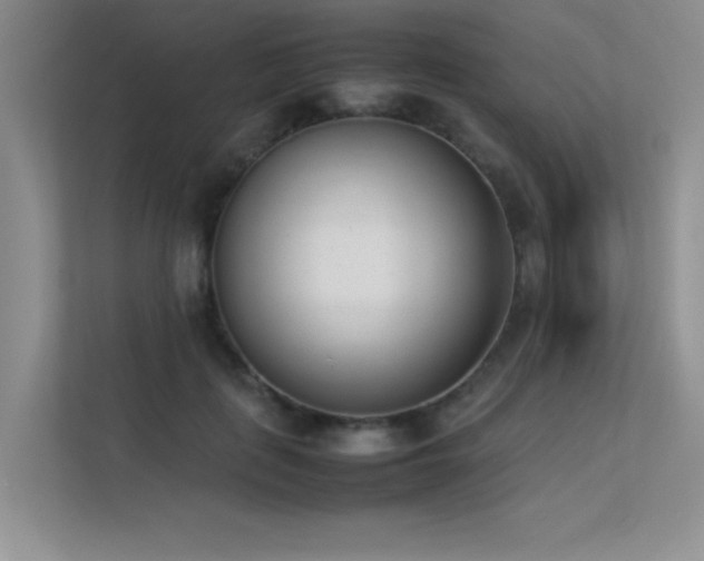 X0000113350651200909151154