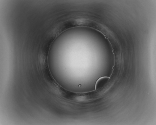 X0000113350653200909151154